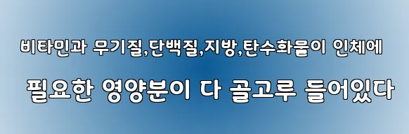  비타민과 무기질,단백질,지방,탄수화물이 인체에 필요한 영양분이 다 골고루 들어있다