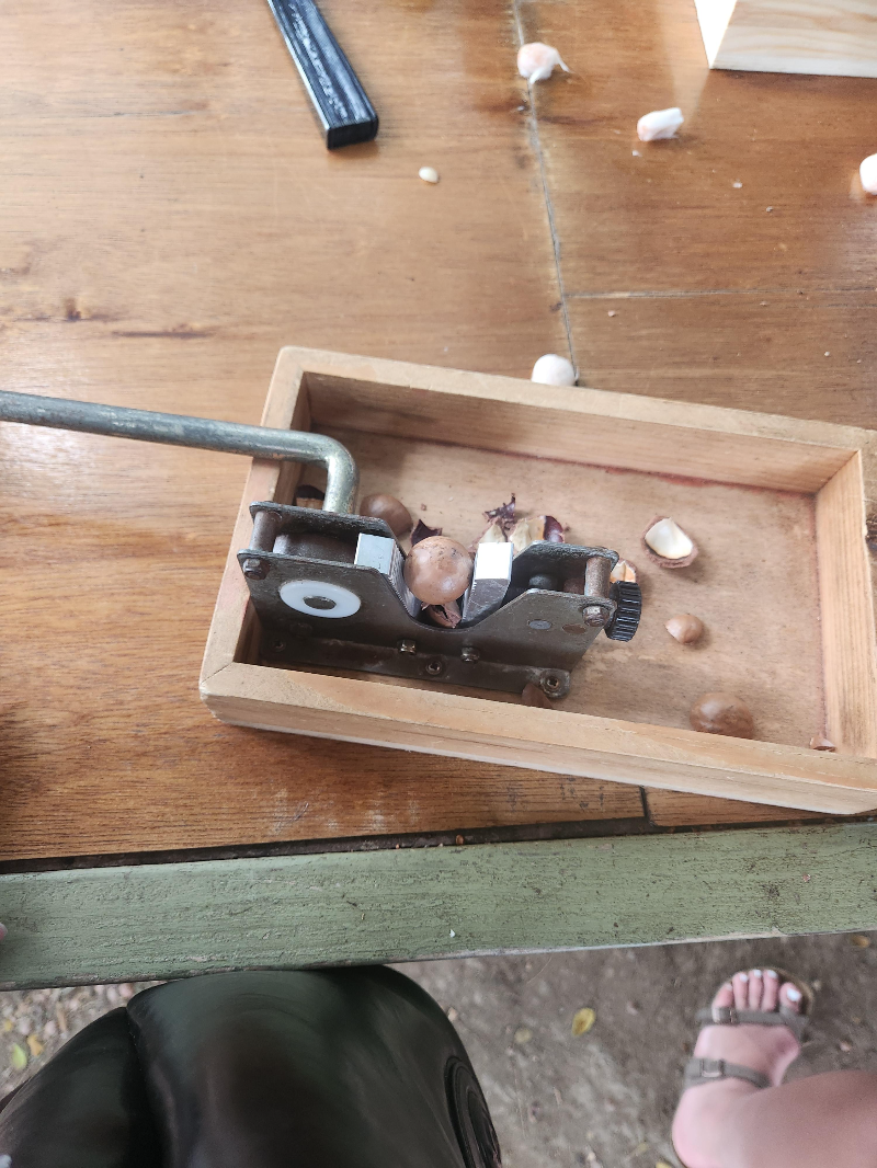 하와이 쿠알로아랜치 그로운 투어 ( 농장 투어 )