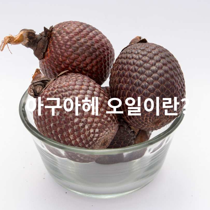 아구아헤 오일 효능부터 먹는 방법&amp;#44; 부작용