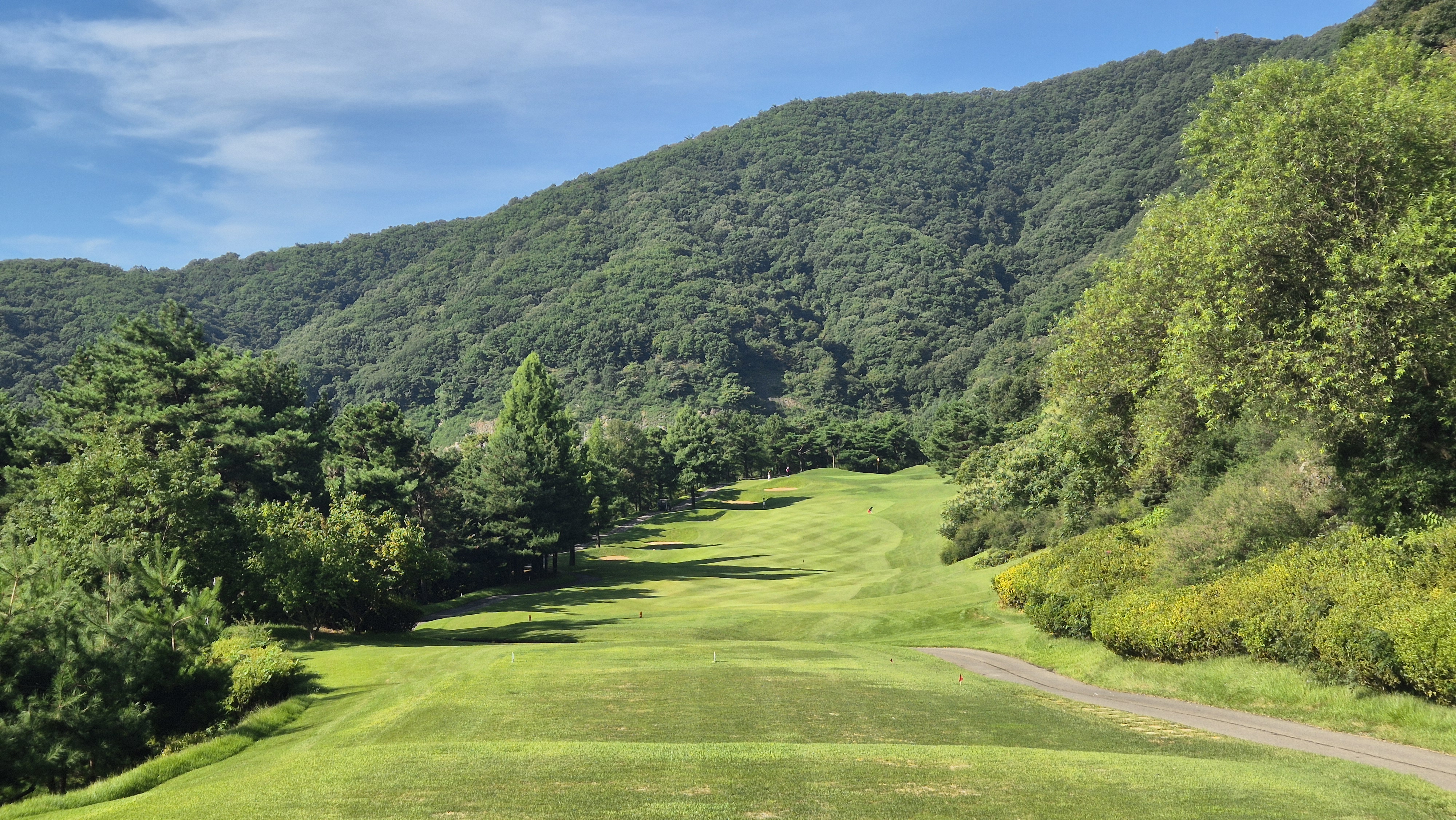 골프존카운티 천안 코스 사진 및 공략 정보