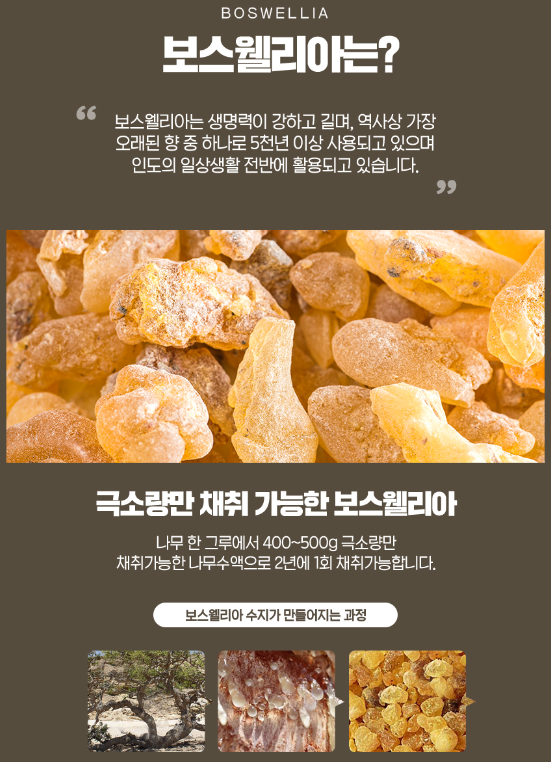 보스웰리아란?