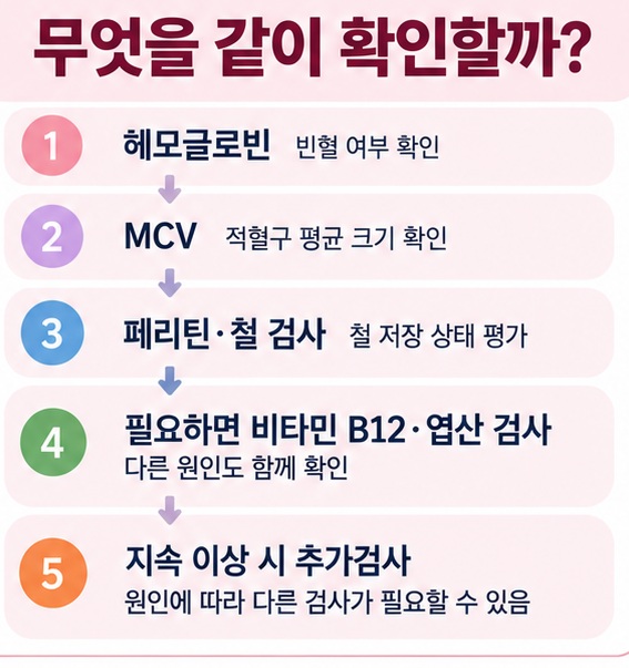 헤모글로빈 MCV 페리틴 비타민 B12 엽산 추가검사를 함께 확인하는 RDW 증가 체크리스트 이미지