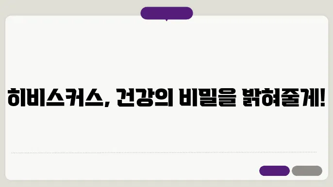 히비스커스 활용과 부작용 및 먹는 방법과 영양성분 알아보기