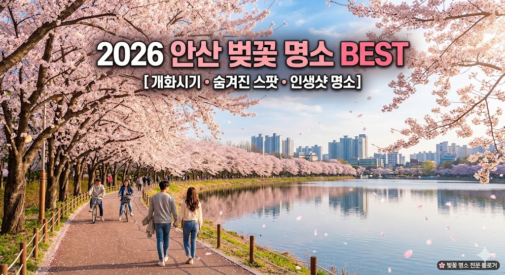 안산 벚꽃 명소