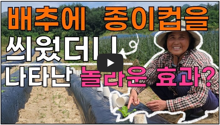 농부 유튜버 순위 TOP 10 5