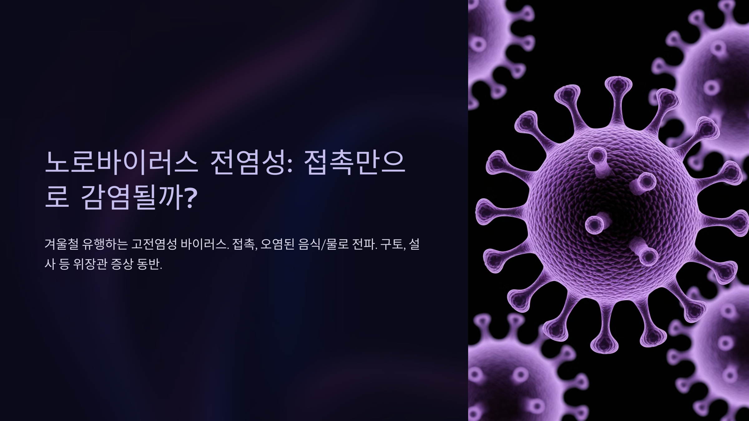노로바이러스 전염성: 접촉만으로 감염될까?
