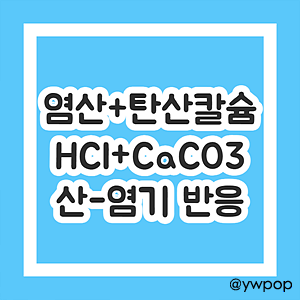HCl CaCO3 산-염기 반응
