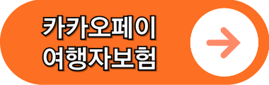 카카오페이 여행자보험