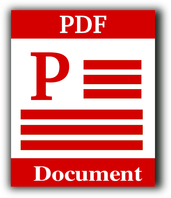 pdf jpg로 변환