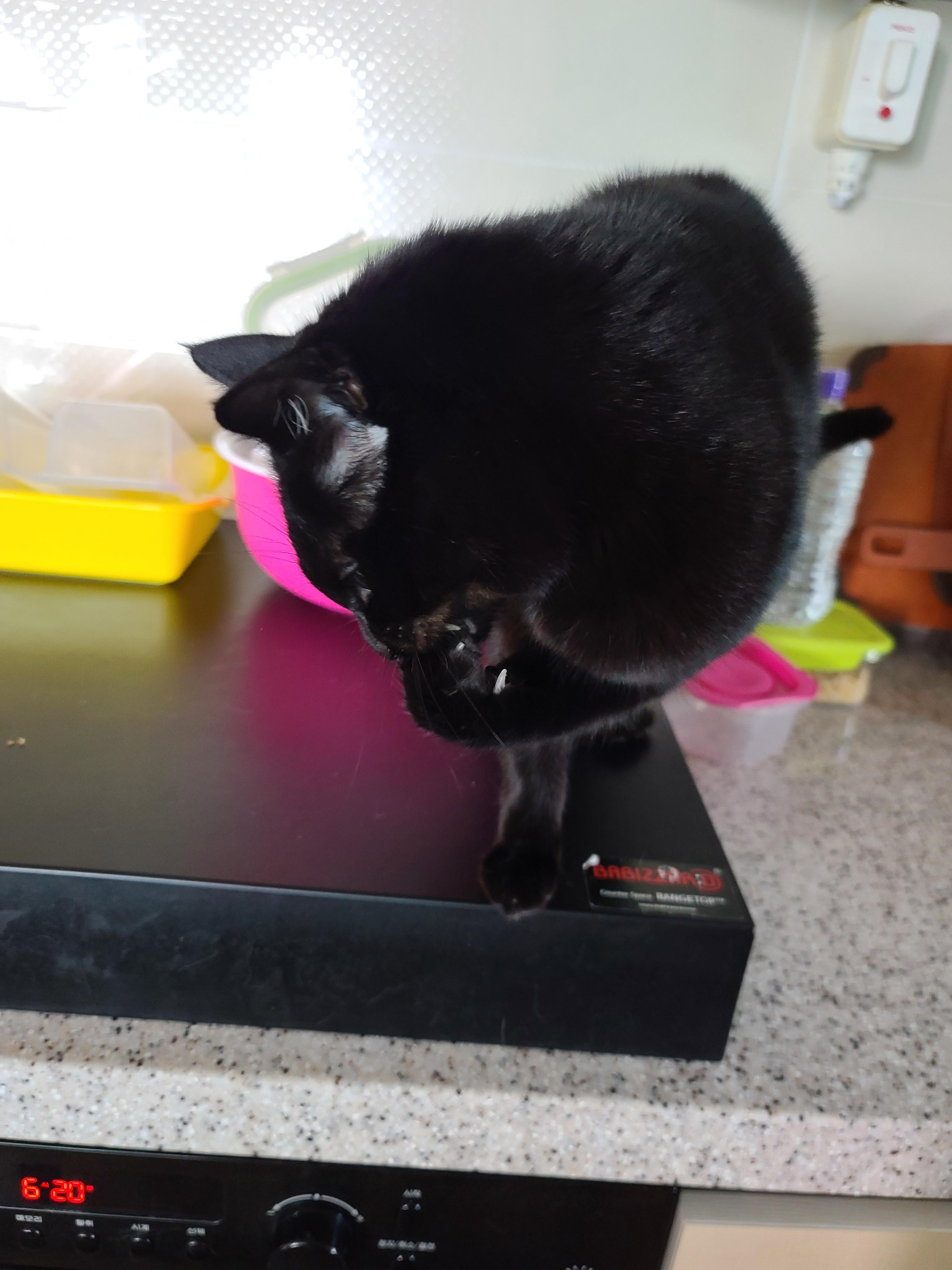 사랑스러운 스토커 건! (feat. 건이 콧구멍 ㅋㅋ)