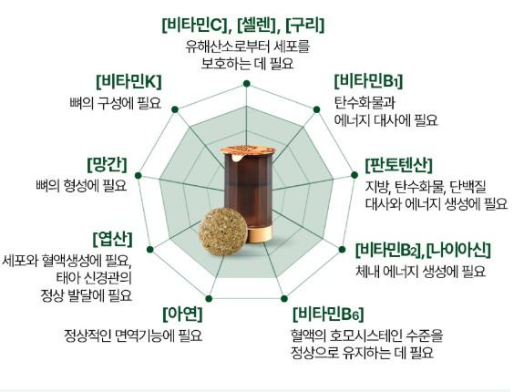 정관장 활기력 효능 효과 성분