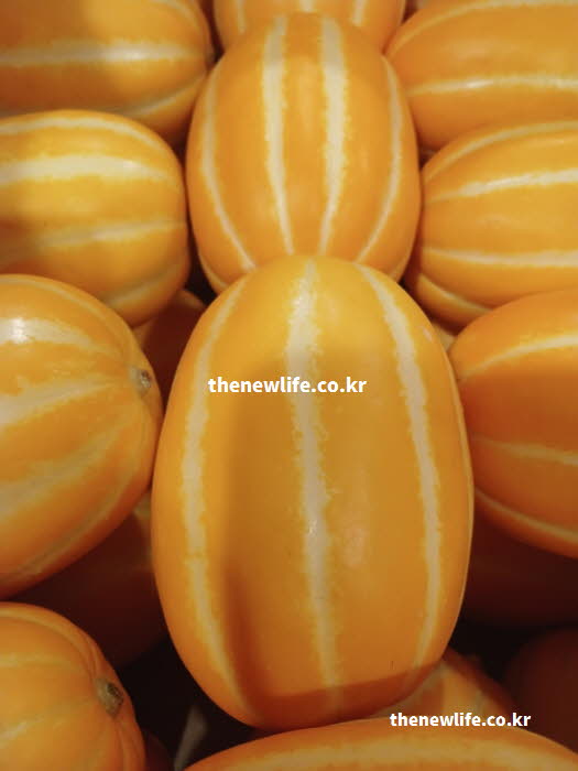참외 효능 부기 완화 칼륨