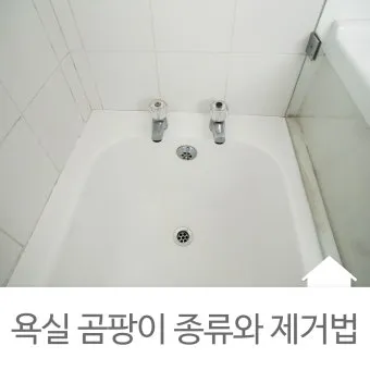 욕실 곰팡이 락스 희석비율과 안전수칙 환기방법_3