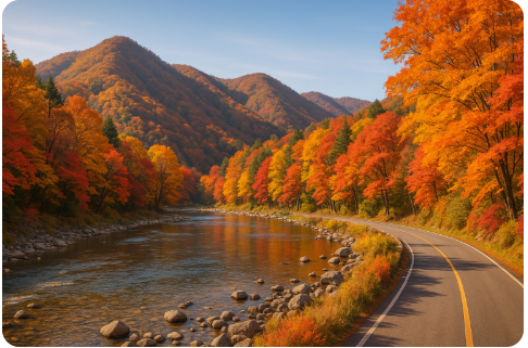 강원도 산골 단풍