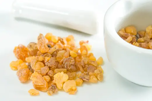 보스웰리아 효능 및 복용시 주의점