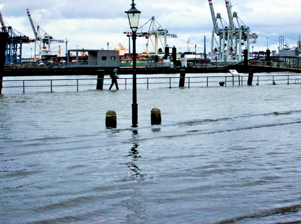 카히스로리 무료 침수 차량 조회 방법