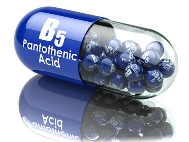 비타민b5