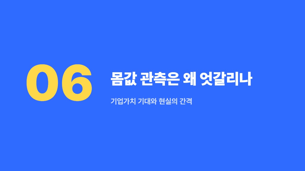 몸값 관측은 왜 엇갈리나 — 기업가치 기대와 현실의 간격