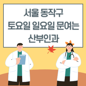 서울 동작구 토요일 일요일 산부인과 진료 병원 리스트