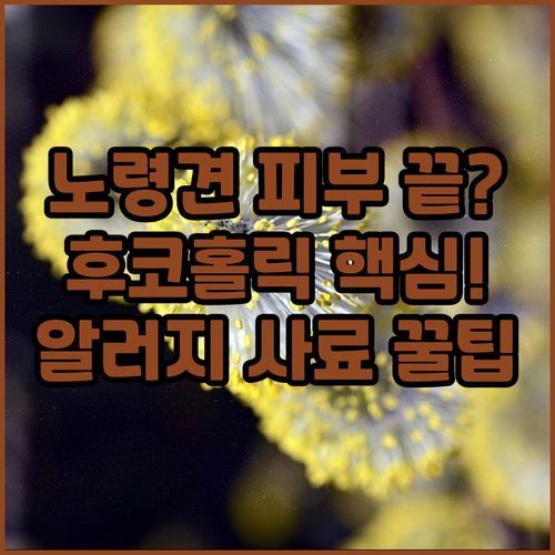 노령견 피부 알러지 고민 끝 강아지 ..
