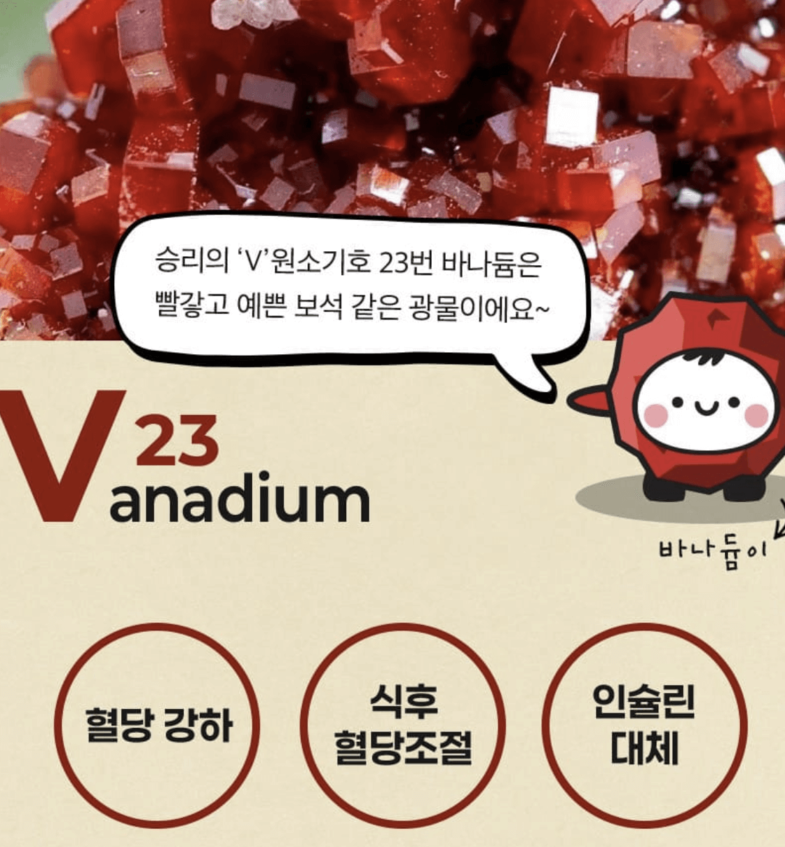 바나듐쌀 효능