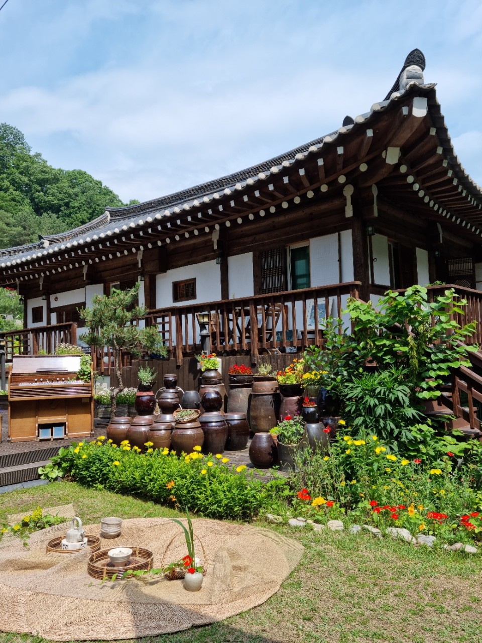 고향의 봄 펜션 전경 모습