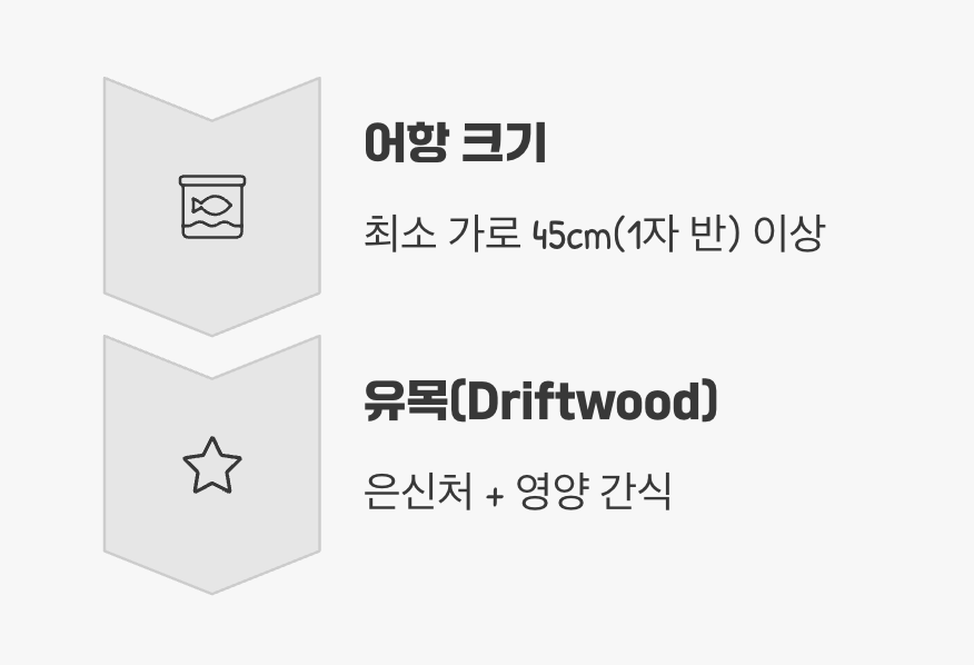 왕을 위한 궁전, 어항과 은신처