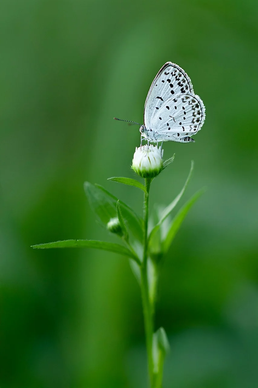 송파구 9시 이후 늦게까지 운영하는 맛집 Best4