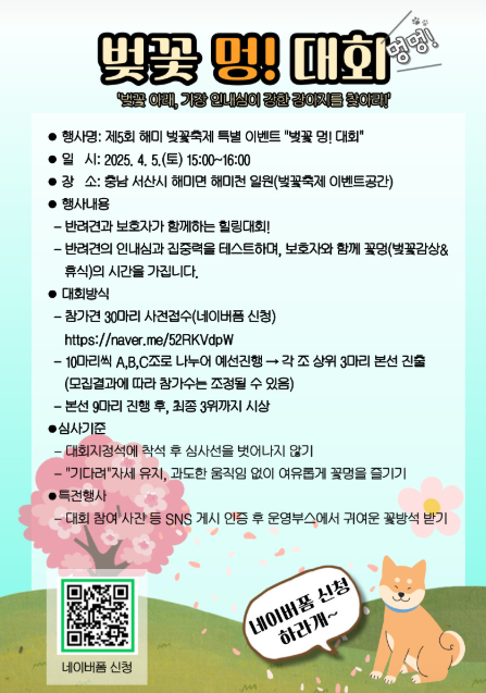 벚꽃 멍! 대회1
