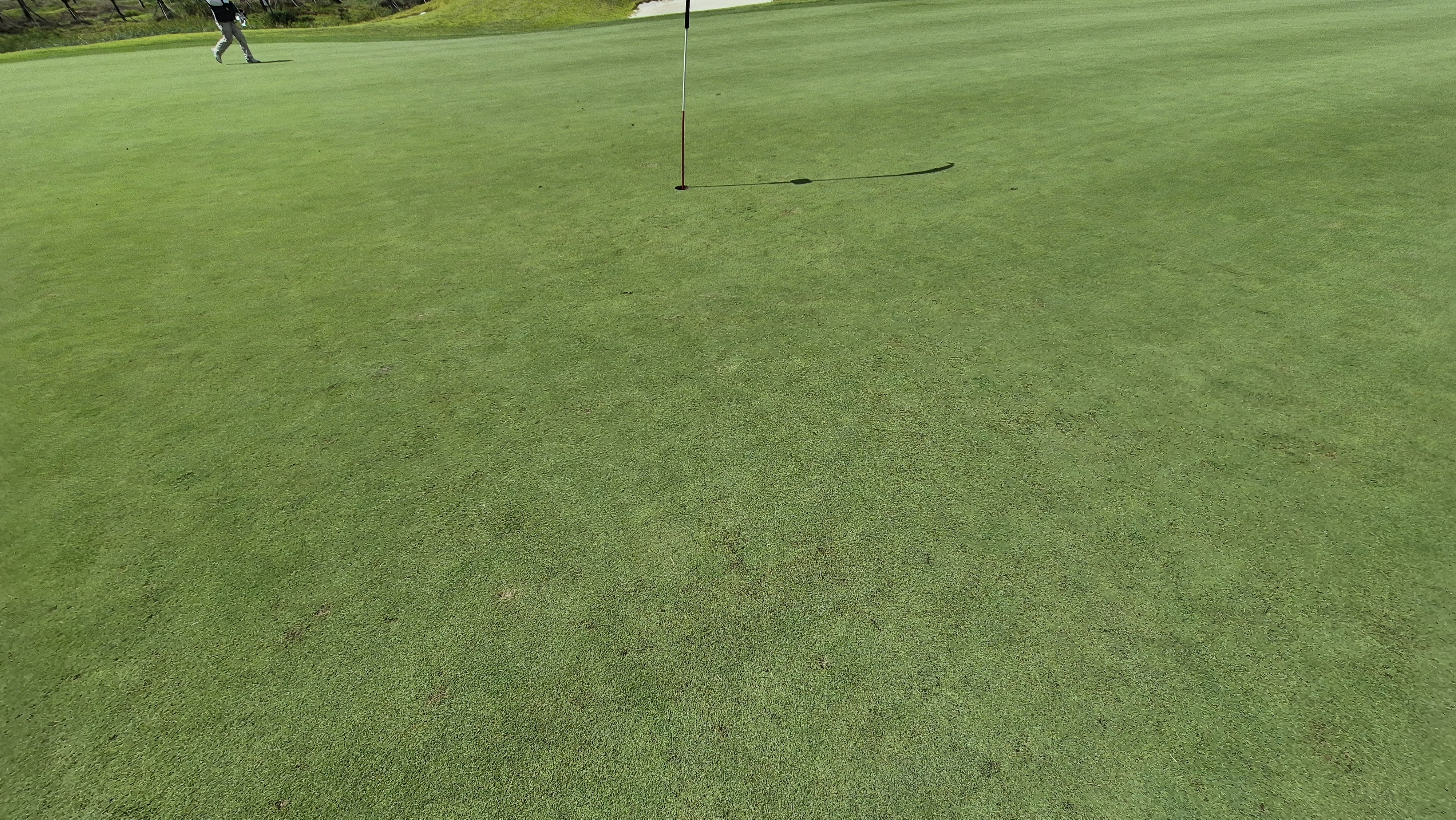 플라밍고cc 듄스-링크스 코스 라운드 후기