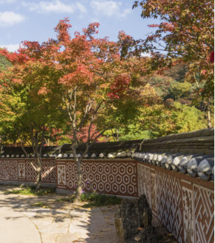 2025 화담숲 단풍축제 예약 완벽 가이드 | 절정시기·꿀팁 총정리