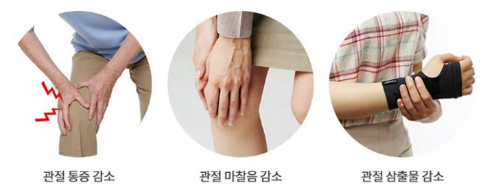 관절통증 락 효능