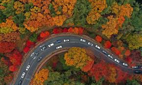 팔공산 단풍 명소