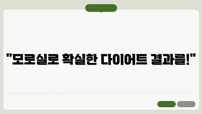 모로실 효능
