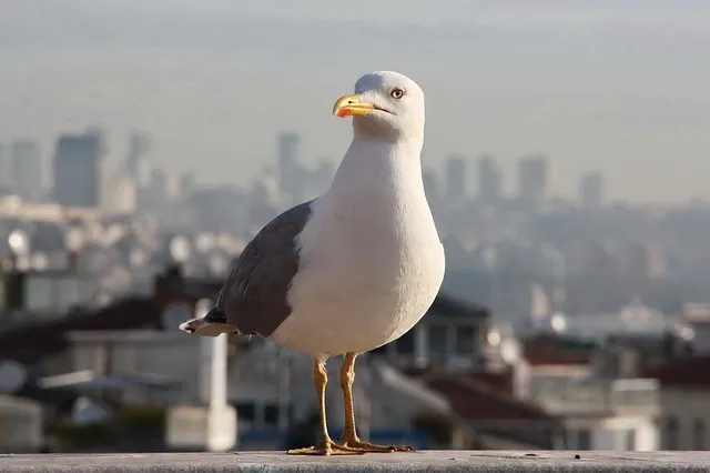 가을 여행지 베스트