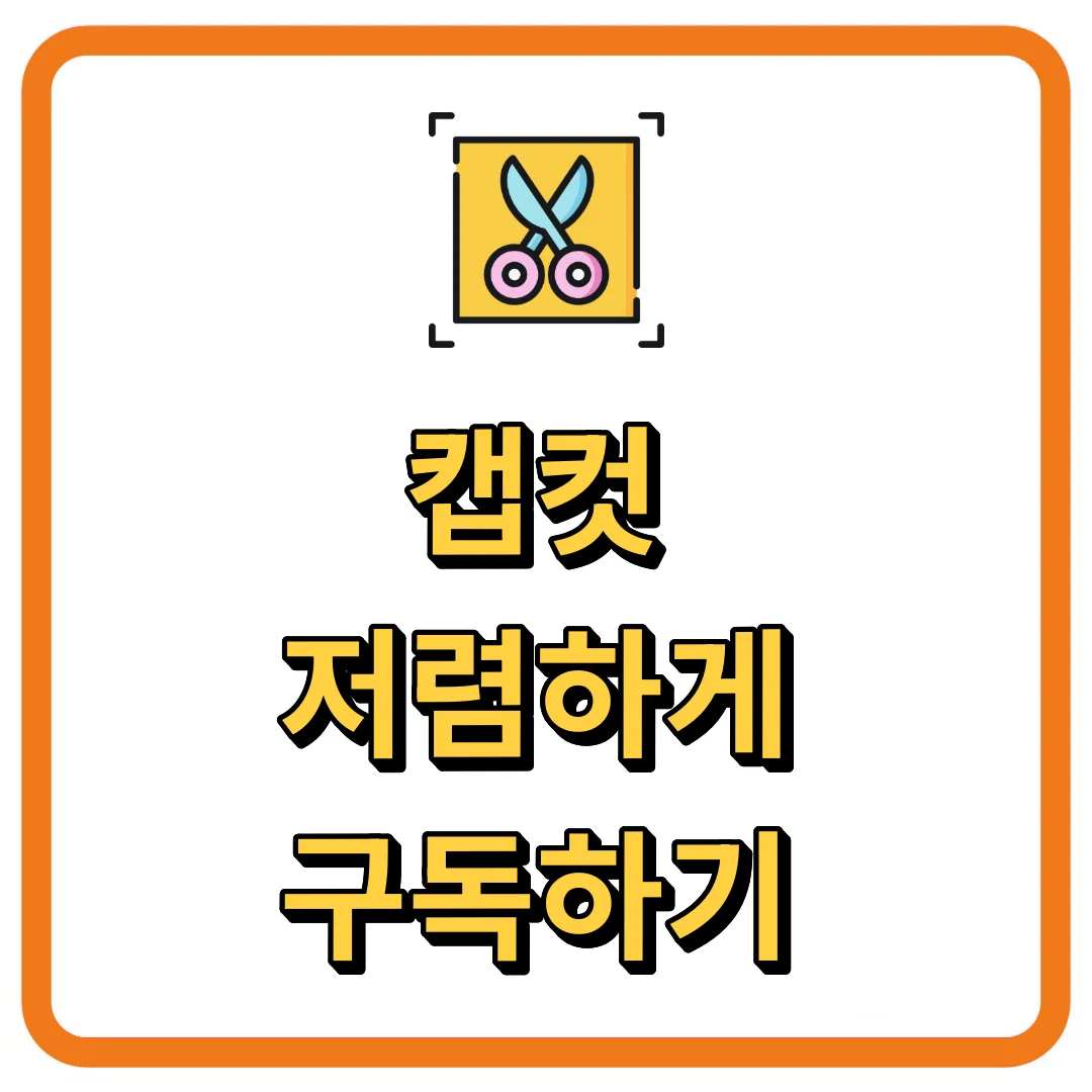 캡컷 저렴하기 구독하기 프로기능까지