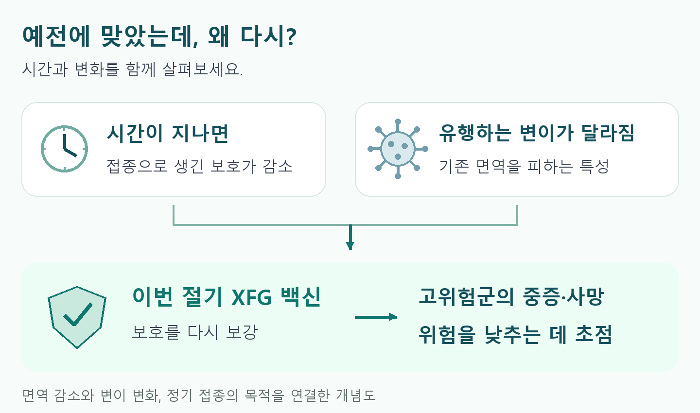 시간 경과에 따른 보호 감소와 유행 변이 변화가 이번 절기 백신의 보호 보강으로 연결되고 고위험군의 중증&middot;사망 위험 감소를 목표로 하는 개념도