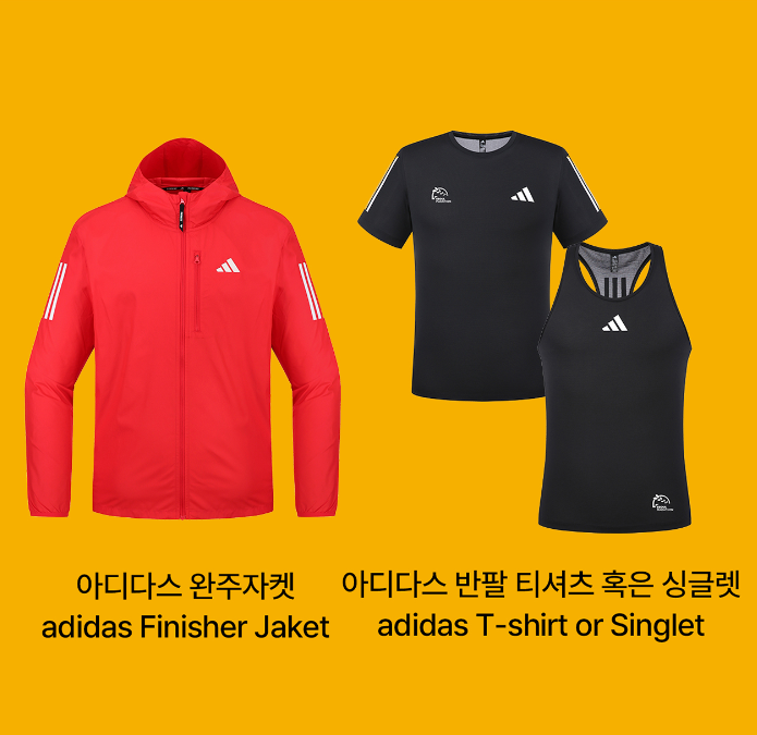 2025 서울마라톤 겸 제95회 동아마라톤 – 일정, 접수 방법, 코스 총정리