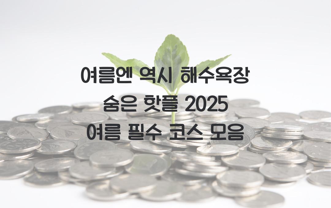 여름엔 역시 해수욕장! 숨은 핫플 모음