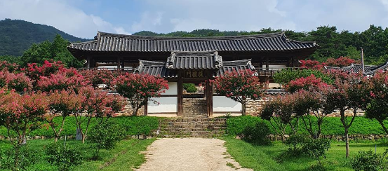 안동 vs 경주: 전통 마을 여행 비교