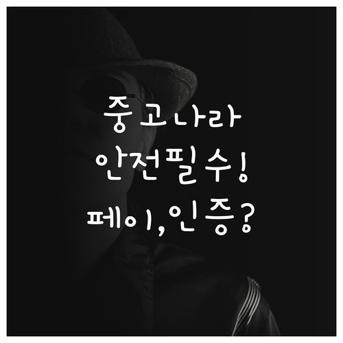 중고나라 시스템적 안전망 중고나라 페..