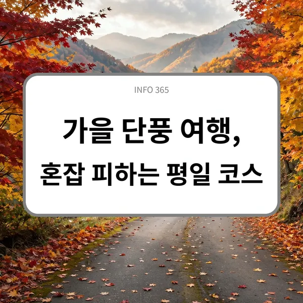 가을 단풍 여행, 혼잡 피하는 평일 코스와 준비물