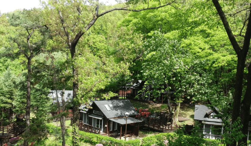 용인 가볼만한곳 베스트10