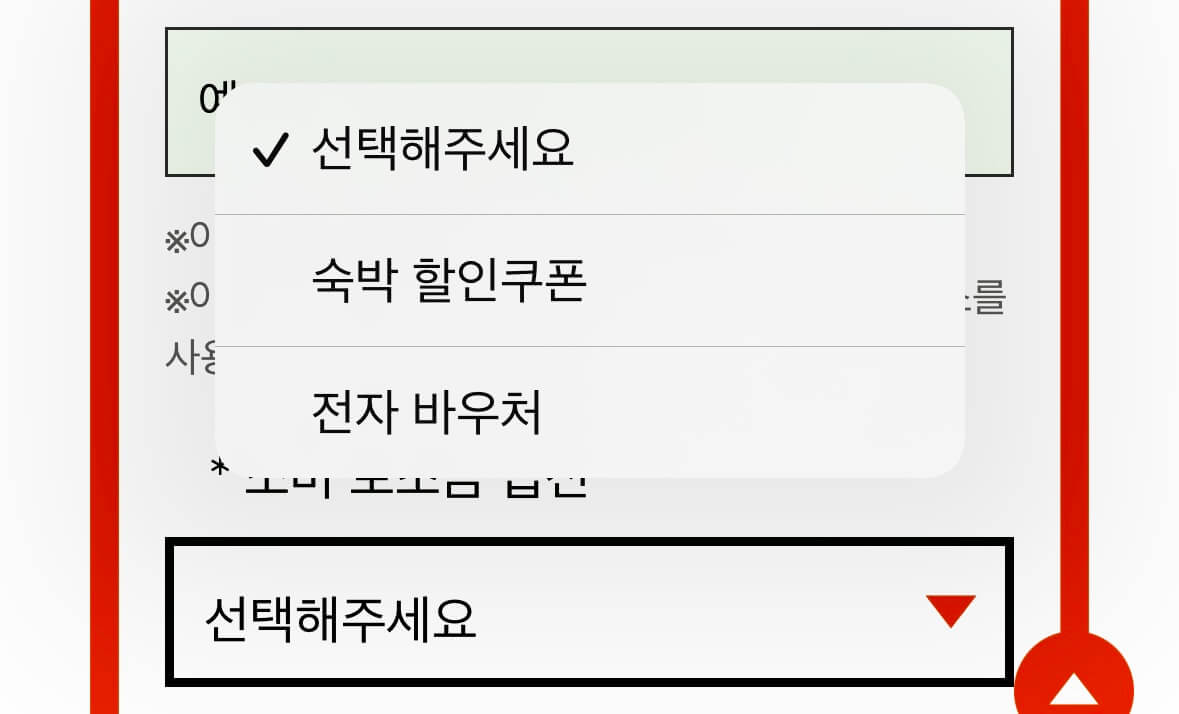 대만 여행지원금