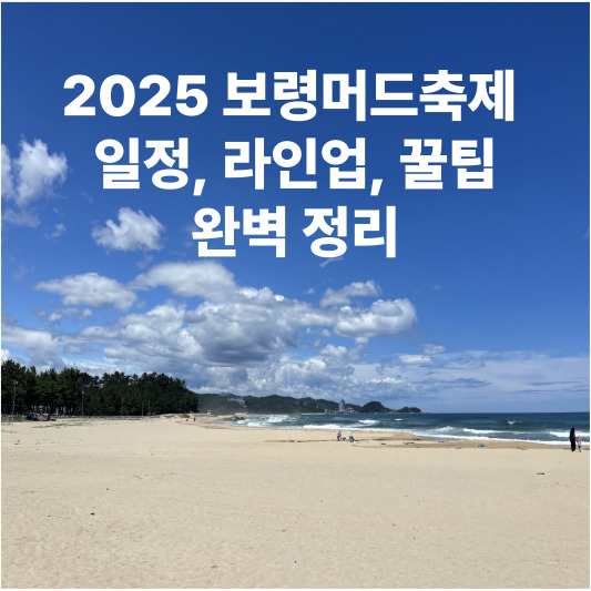 2025 보령머드축제 : 일정, 라인업, 꿀팁, 완벽 정리