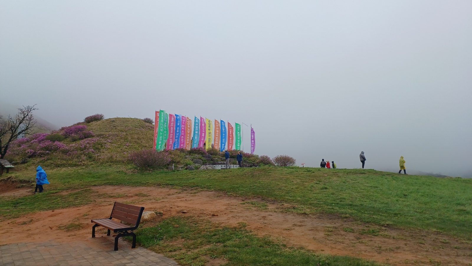 합천 황매산 철쭉18