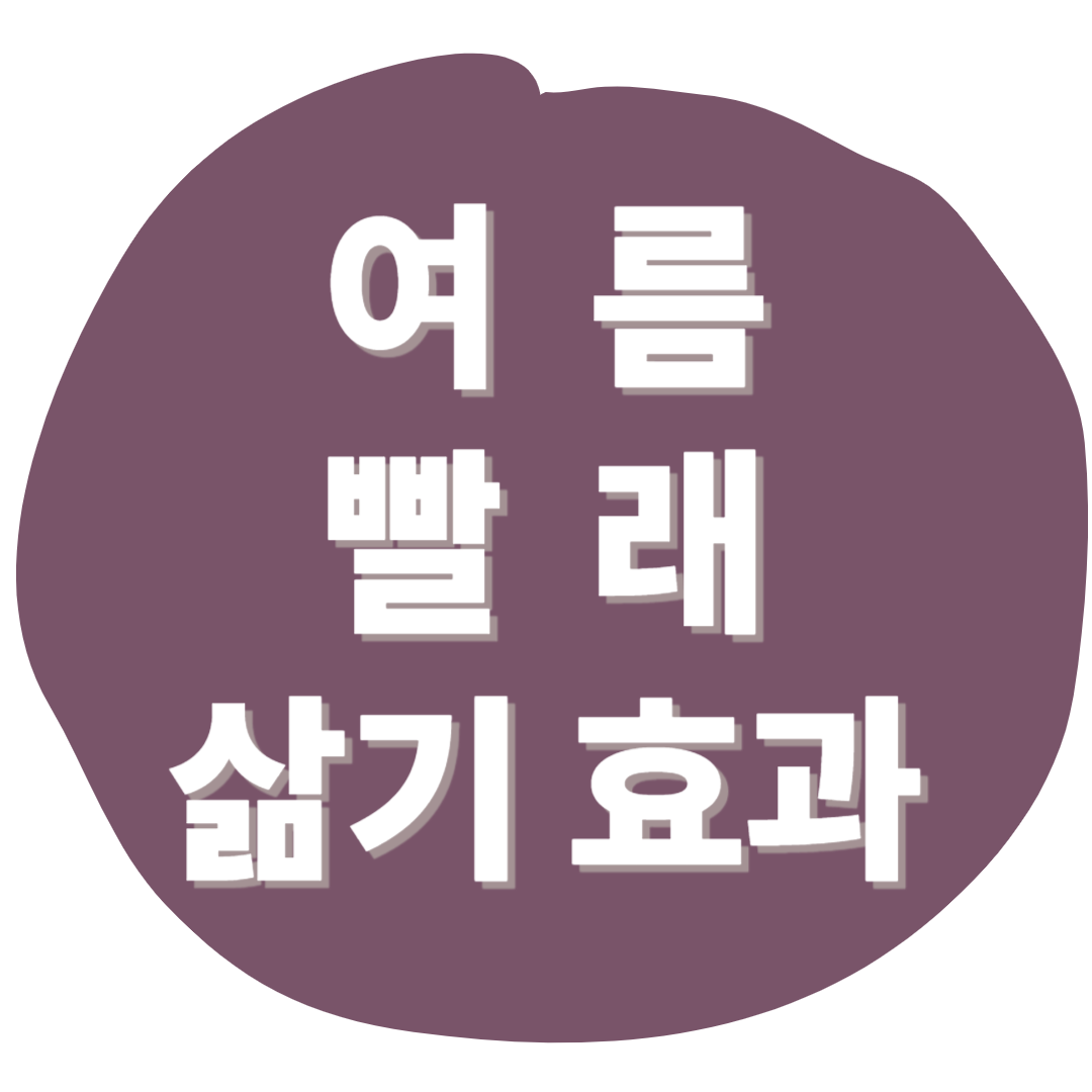 여름빨래 삶기 효과