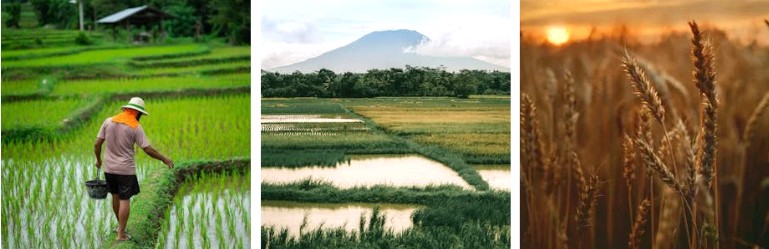 2025년_공익직불금_지급일