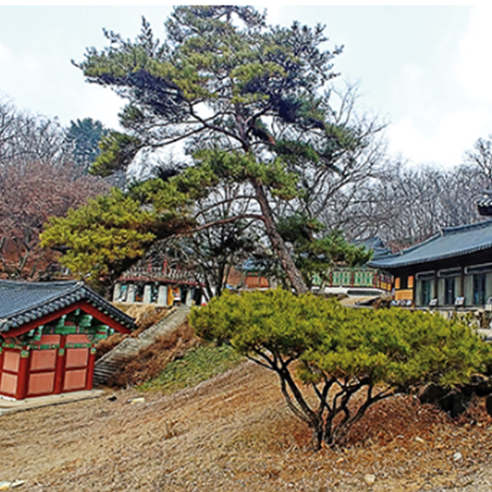 도피안사