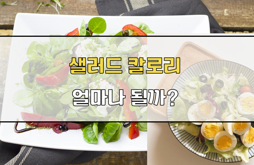 샐러드 칼로리
